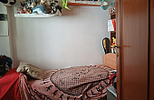 Camera da letto singola